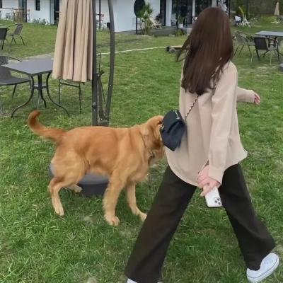 澳门奇妙游